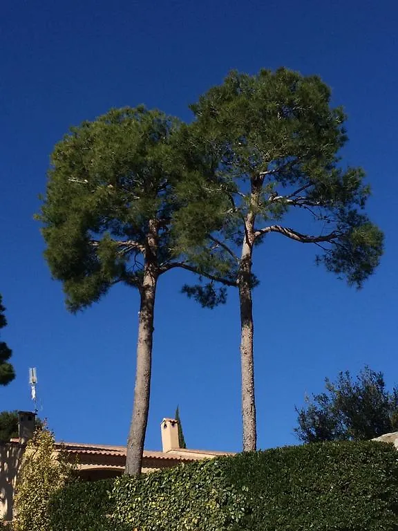Apartment Le Petit Cassis Vue Mer Appartement 70M2 Piscine France